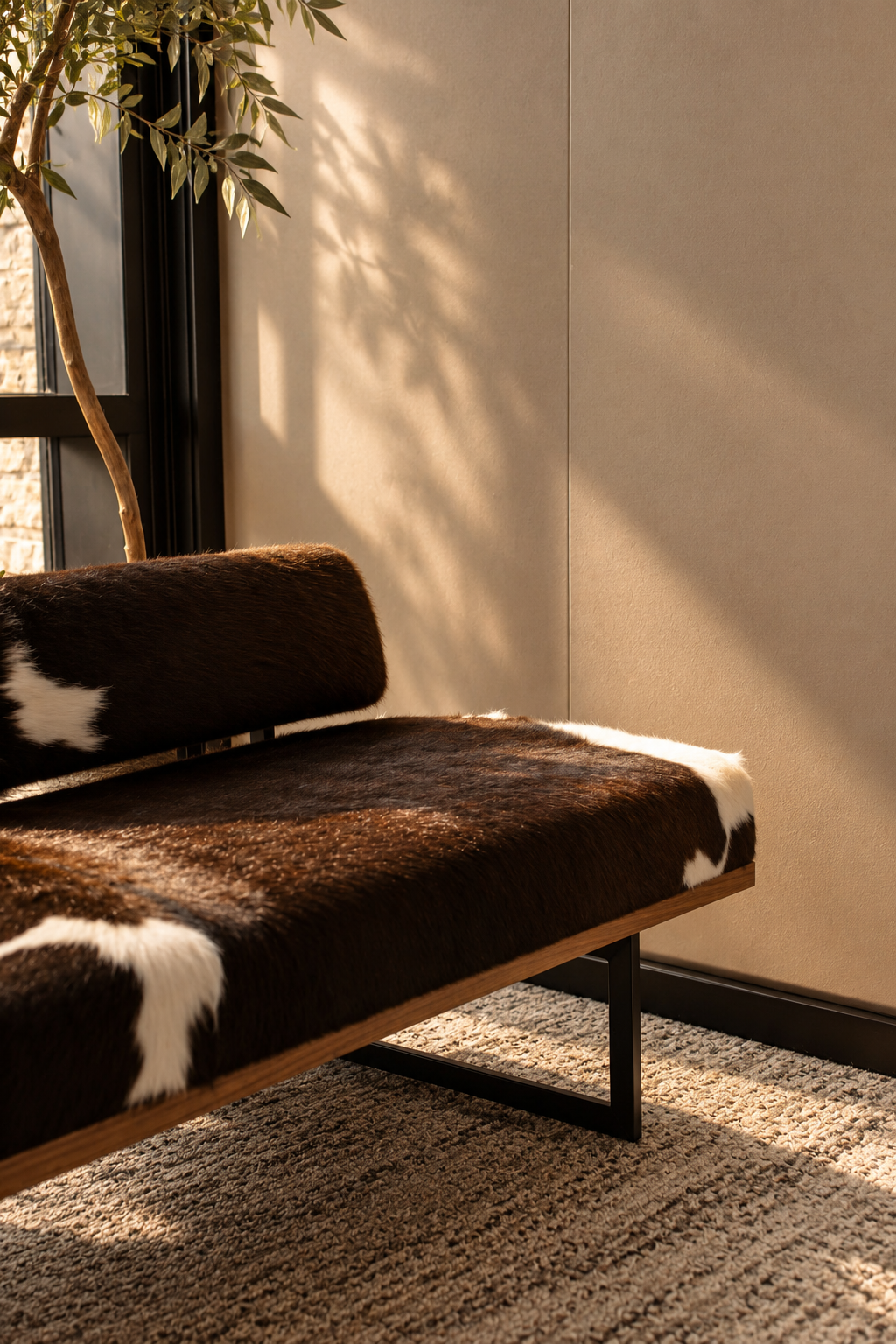 A cowhide upholstered bench catching warm afternoon light beside an indoor tree